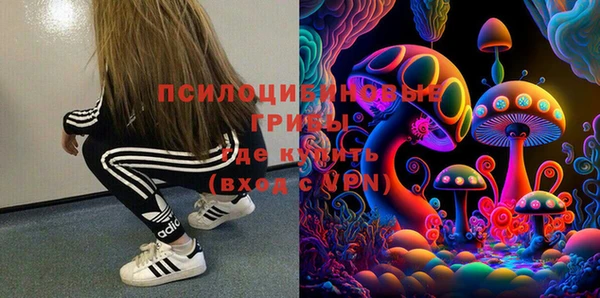 стаф Медвежьегорск