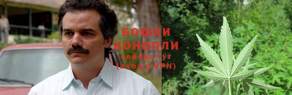 шишки Губаха