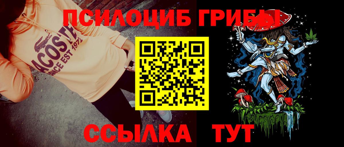 Псилоцибиновые грибы мицелий Ишимбай