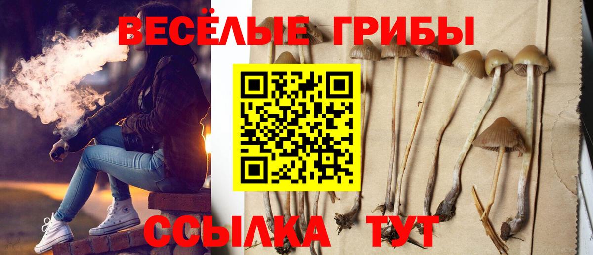 Галлюциногенные грибы ЛСД  Вход с VPN  Ишимбай 